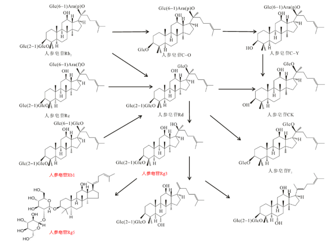 6901b06d6d470567c7b5004dc3e6d245